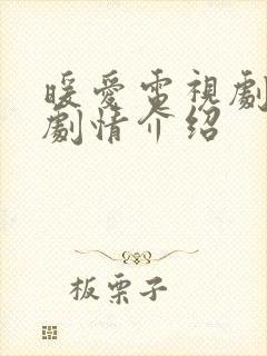暖爱电视剧分集剧情介绍