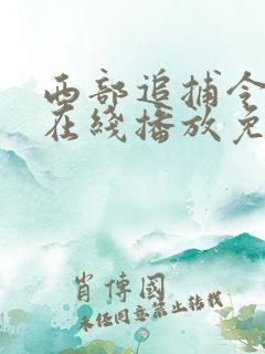 西部追捕令电影在线播放免费观看中文
