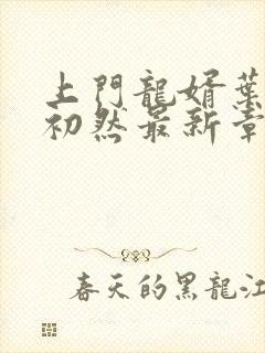 上门龙婿叶辰萧初然最新章节列表