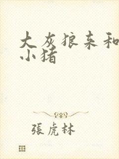 大灰狼来和三只小猪
