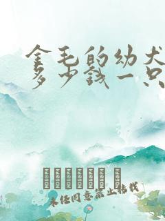 金毛的幼犬大概多少钱一只