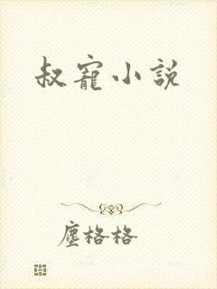 叔宠小说