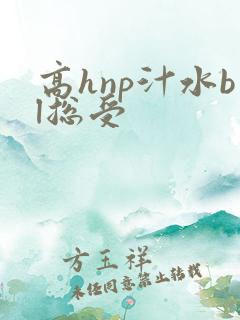 高hnp汁水bl总受