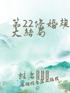 第22条婚规2大结局