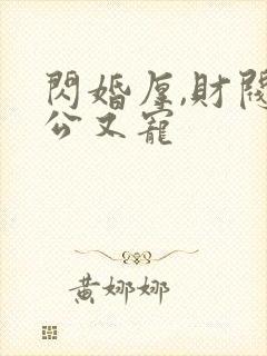 闪婚厚,财阀老公又宠