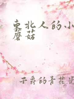 东北人的小鸡炖蘑菇 东北人的小鸡炖蘑菇