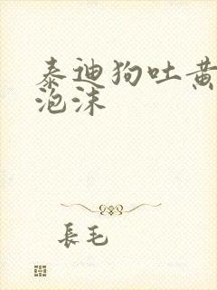 泰迪狗吐黄水带泡沫
