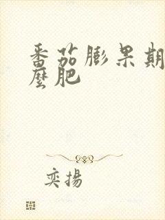 番茄膨果期施什么肥