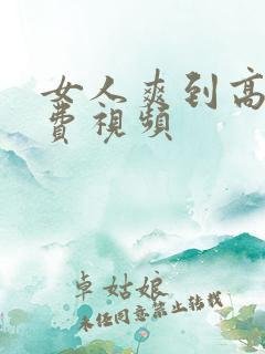 女人爽到高潮的费视频