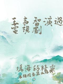 王韦智演过哪些电视剧
