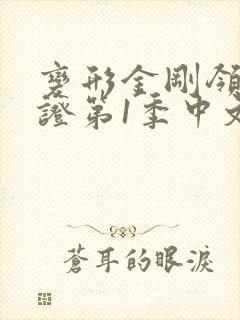变形金刚领袖之证第1季中文版