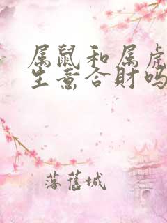 属鼠和属虎的做生意合财吗