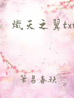 炽天之翼txt