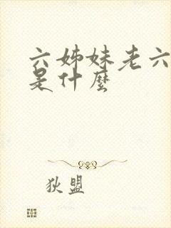 六姊妹老六结局是什么