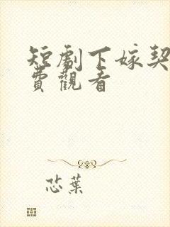 短剧下嫁契约免费观看