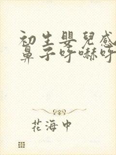 初生婴儿感冒了鼻子呼哧呼哧