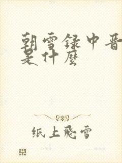 朝雪录中晋王案是什么