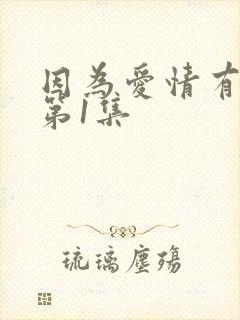 因为爱情有多美第1集