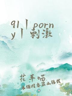 91丨porny丨刺激
