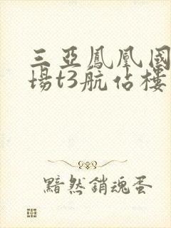 三亚凤凰国际机场t3航站楼