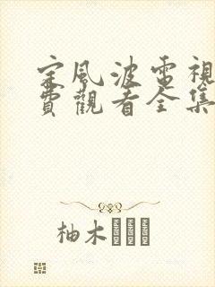 定风波电视剧免费观看全集完整版