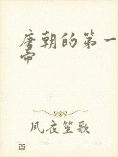 唐朝的第一个皇帝