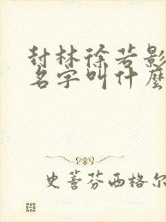 封林徐若影小说名字叫什么