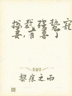 总裁强势宠:甜妻,有喜了
