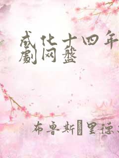 成化十四年电视剧网盘