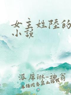 女主姓陆的现代小说