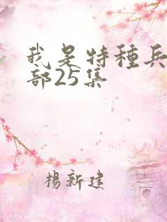 我是特种兵第一部25集