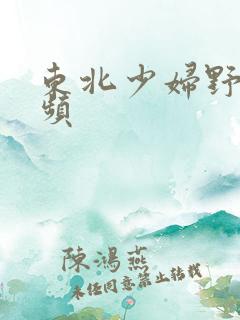 东北少妇野战视频