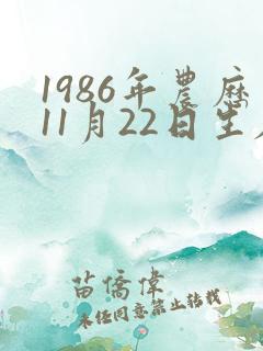1986年农历11月22日生辰八字