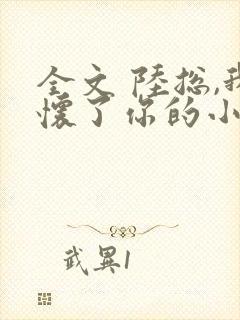全文 陆总,我怀了你的小祖宗 全文 陆总,我怀了你的小祖宗