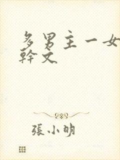 多男主一女主高干文