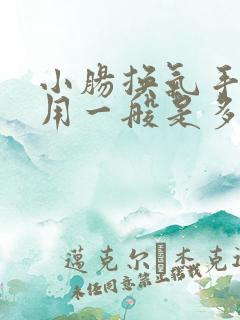 小肠换气手术费用一般是多少钱