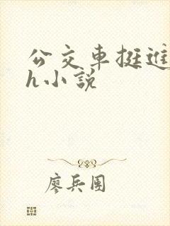 公交车挺进的小h小说