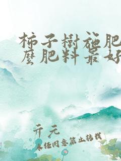 柿子树施肥用什么肥料最好