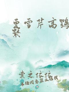 曹雪芹高鹗的关系
