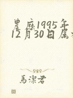 农历1995年12月30日属相八字