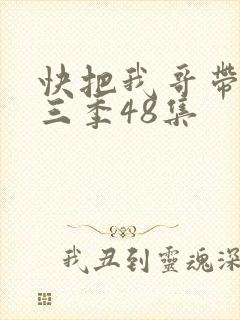 快把我哥带走第三季48集