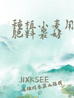 种植小麦用什么肥料最好