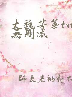 大魏芳华txt无删减