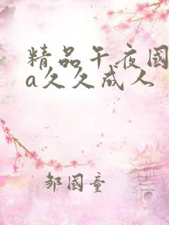 精品午夜国产va久久成人