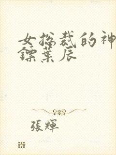 女总裁的神级保镖叶辰 女总裁的神级保镖叶辰