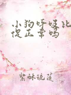 小狗呼吸比较急促正常吗