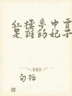 红楼梦中贾元春是谁的妃子