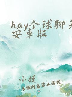 hay全球聊天安卓版