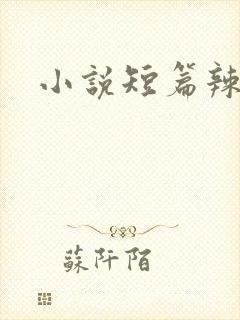 小说短篇辣爽文 小说短篇辣爽文