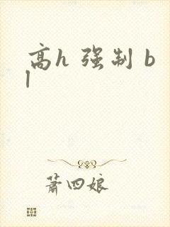 高h 强制 bl